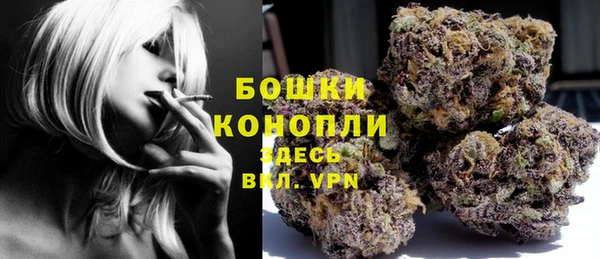 не бодяженный Арсеньев