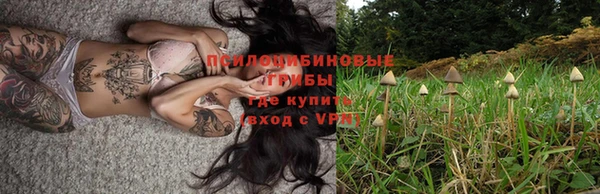 не бодяженный Арсеньев