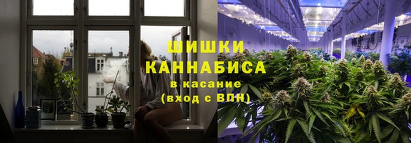 не бодяженный Арсеньев